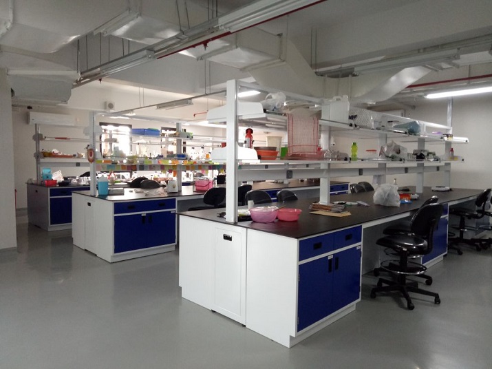 Laboratorium 1
